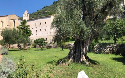Il Monastero di San Magno a Fondi